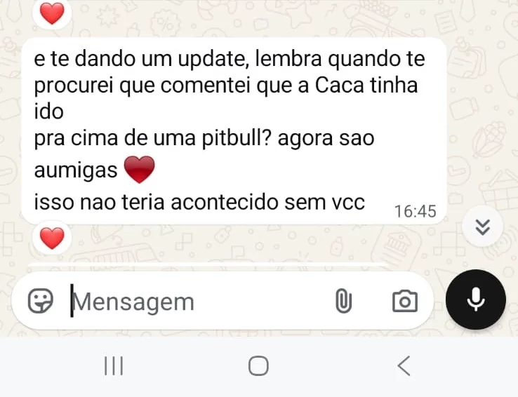 Print autorizado do depoimento sobre Catarina, SRD, parte 3 de 3.
