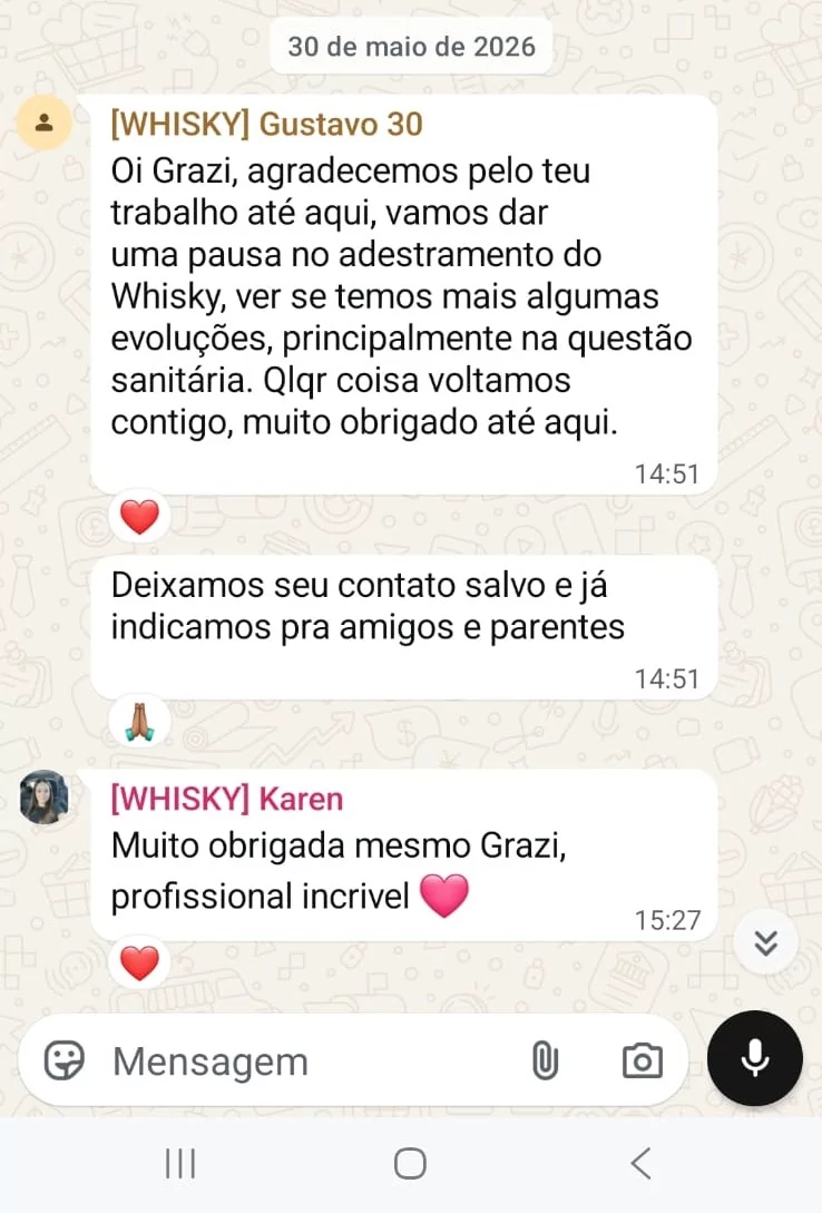 Print autorizado do depoimento sobre Whisky, Dachshund filhote.